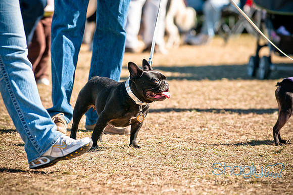 Richardson Pet Day 2010-86