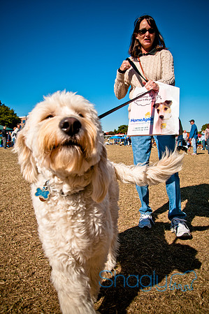 Richardson Pet Day 2010-152