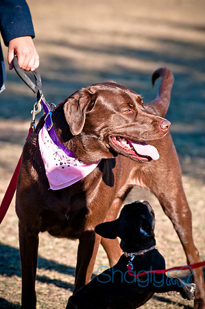 Richardson Pet Day 2010-224