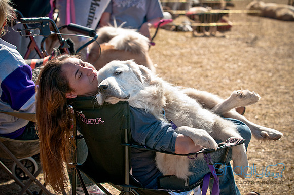 Richardson Pet Day 2010-141