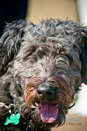 Richardson Pet Day 2010-89