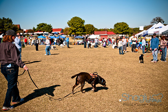 Richardson Pet Day 2010-150