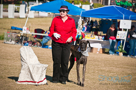 Richardson Pet Day 2010-10