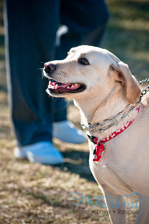 Richardson Pet Day 2010-169