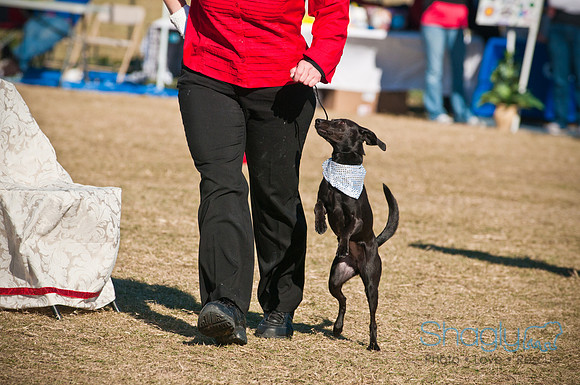 Richardson Pet Day 2010-9