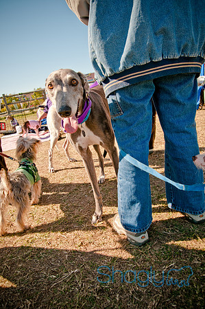 Richardson Pet Day 2010-161