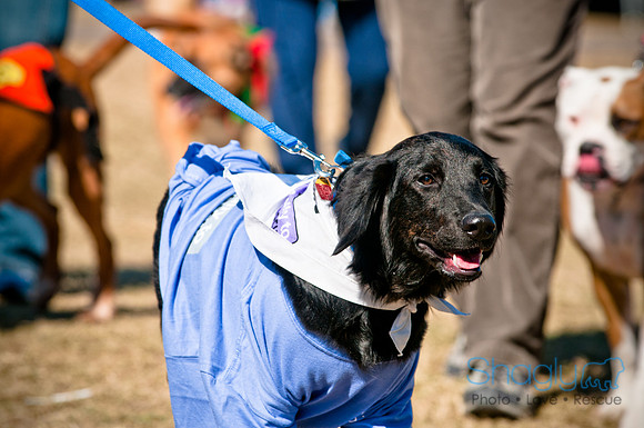 Richardson Pet Day 2010-95