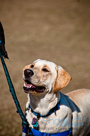 Richardson Pet Day 2010-51