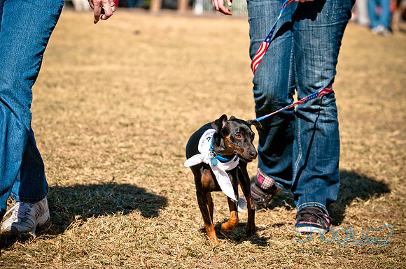Richardson Pet Day 2010-99