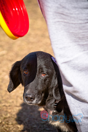 Richardson Pet Day 2010-127
