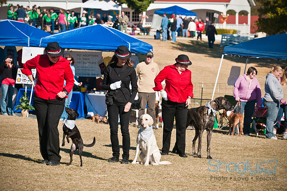 Richardson Pet Day 2010-8