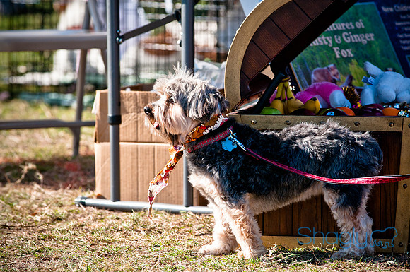 Richardson Pet Day 2010-56
