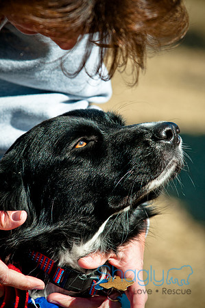 Richardson Pet Day 2010-32