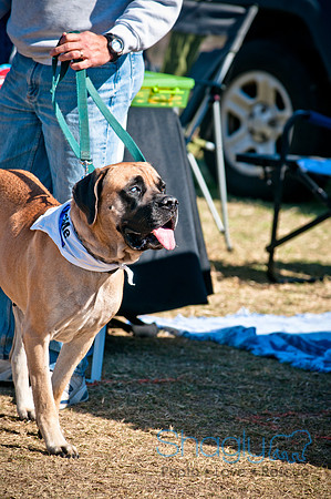 Richardson Pet Day 2010-102