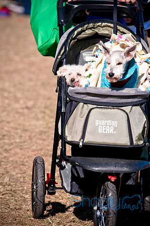 Richardson Pet Day 2010-171
