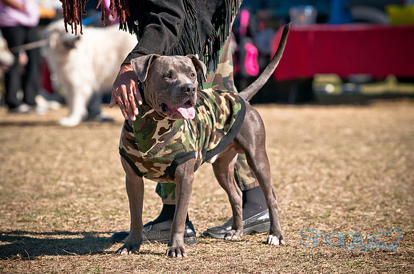 Richardson Pet Day 2010-121