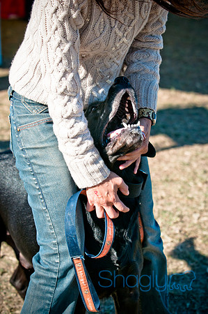 Richardson Pet Day 2010-195