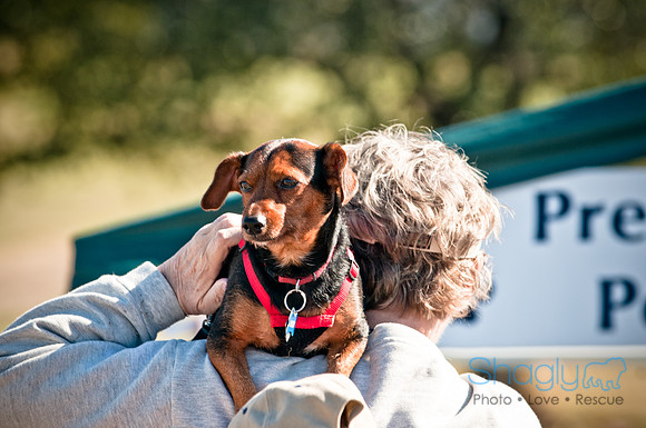 Richardson Pet Day 2010-78