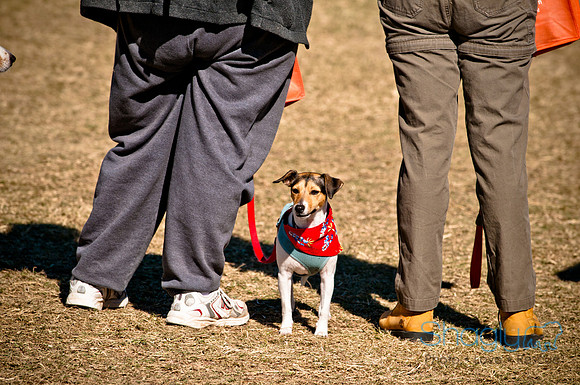 Richardson Pet Day 2010-74