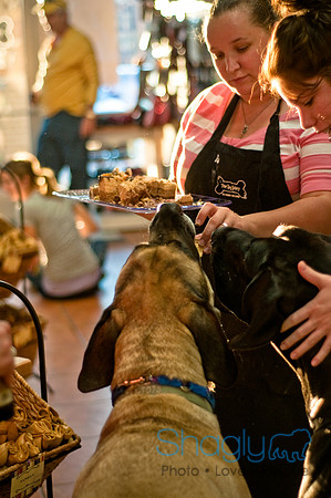 Three Dog Bakery-9