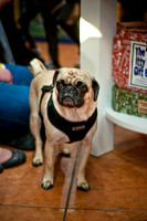Three Dog Bakery-16