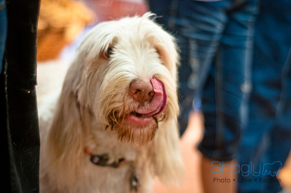 Three Dog Bakery-14