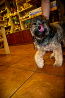 Three Dog Bakery-20