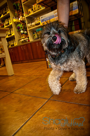 Three Dog Bakery-20