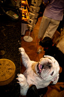 Three Dog Bakery-7