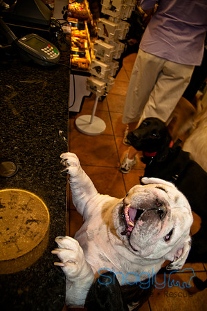 Three Dog Bakery-7