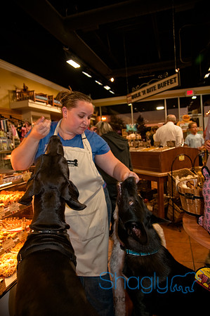 Three Dog Bakery-10