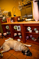 Three Dog Bakery-8