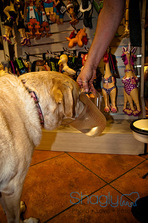 Three Dog Bakery-23