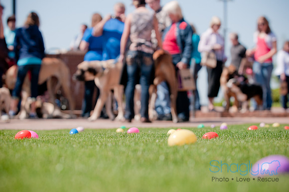 Shagly Photography-Easter Begg Hunt-9