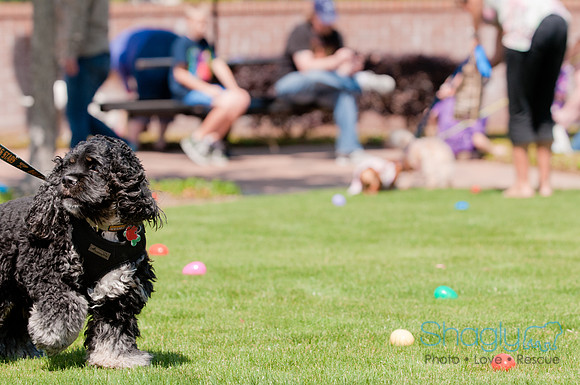 Shagly Photography-Easter Begg Hunt-52