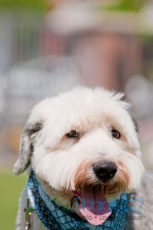 Shagly Photography-Easter Begg Hunt-77