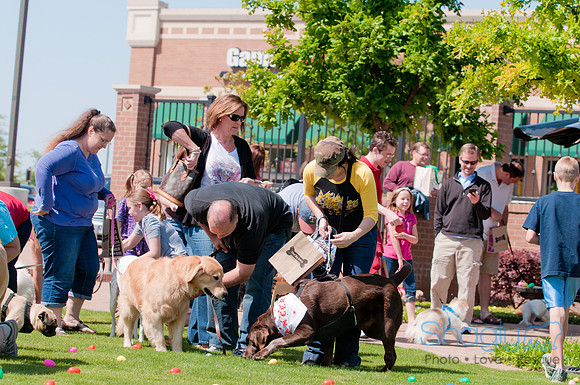 Shagly Photography-Easter Begg Hunt-35