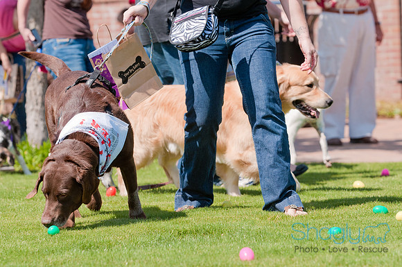 Shagly Photography-Easter Begg Hunt-37