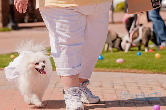 Shagly Photography-Easter Begg Hunt-50