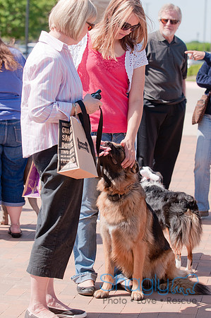 Shagly Photography-Easter Begg Hunt-12