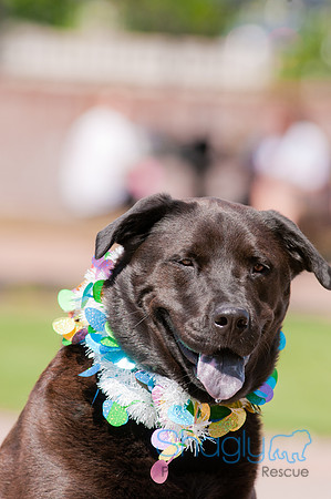 Shagly Photography-Easter Begg Hunt-111