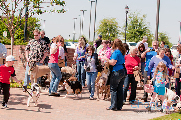 Shagly Photography-Easter Begg Hunt-32