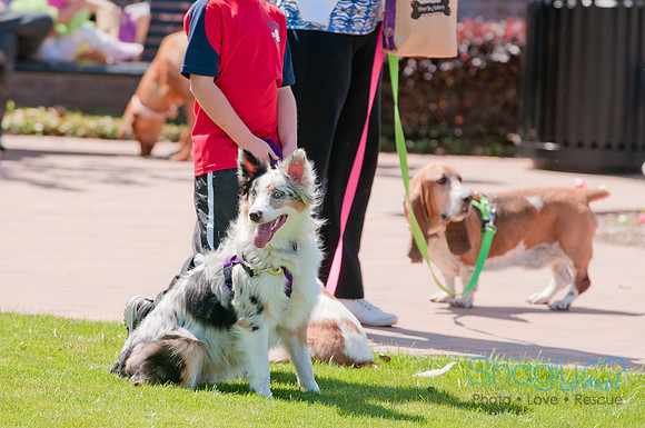 Shagly Photography-Easter Begg Hunt-84