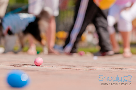 Shagly Photography-Easter Begg Hunt-61