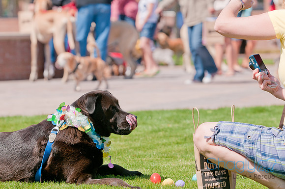 Shagly Photography-Easter Begg Hunt-80
