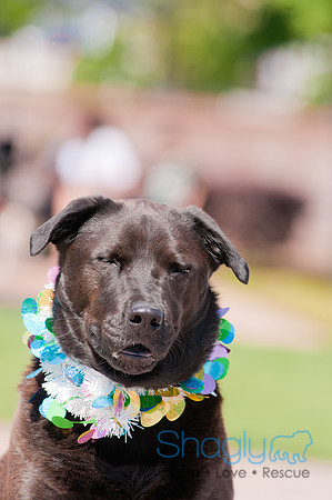 Shagly Photography-Easter Begg Hunt-113