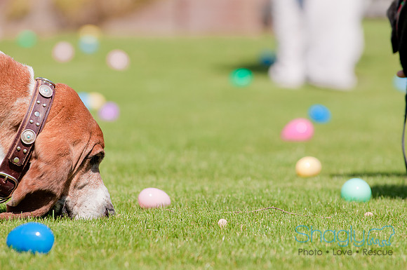 Shagly Photography-Easter Begg Hunt-45