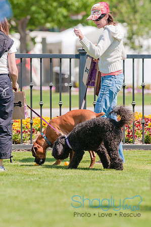Shagly Photography-Easter Begg Hunt-69
