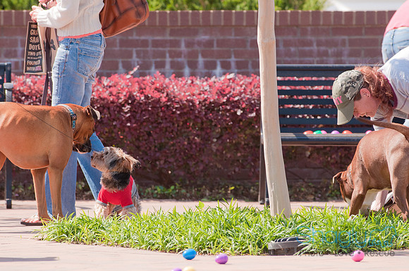 Shagly Photography-Easter Begg Hunt-41