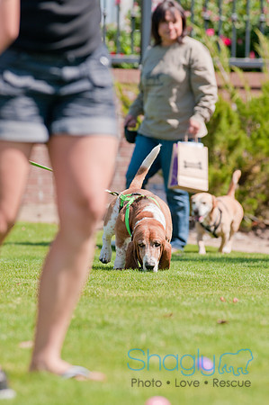 Shagly Photography-Easter Begg Hunt-67